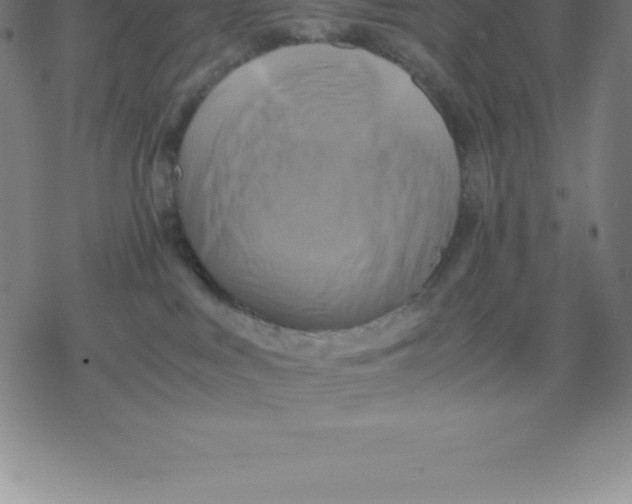 X0000077290043200611101354