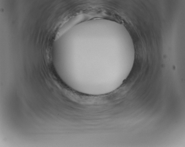 X0000077290044200611101354