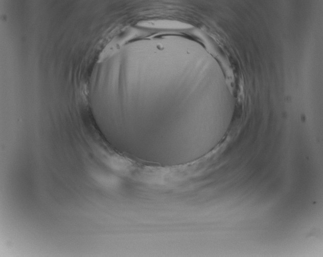 X0000077290045200611101354