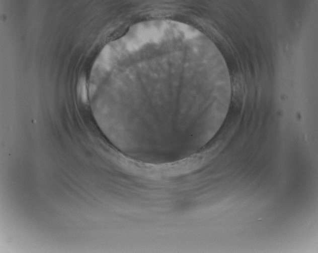 X0000077290046200611101354