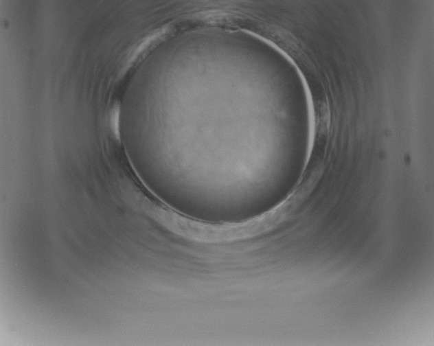 X0000077290047200611101354