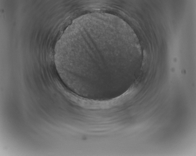 X0000077290048200611101354