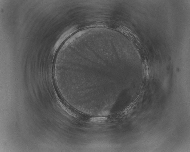 X0000077290051200611101353