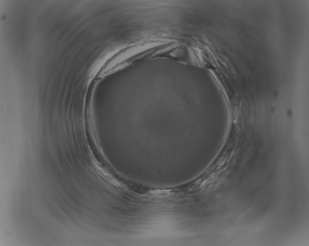 X0000077290052200611101353