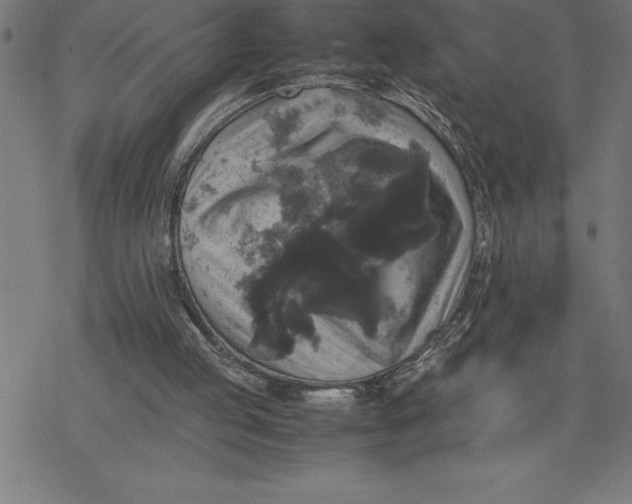 X0000077290053200611101353