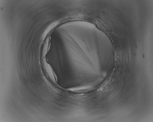 X0000077290054200611101353