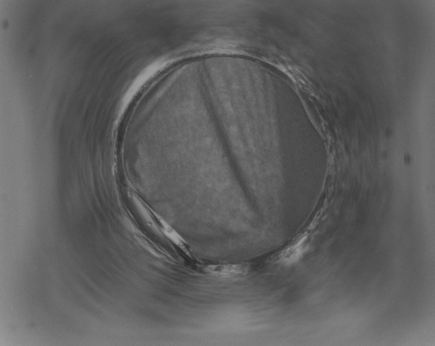 X0000077290056200611101353