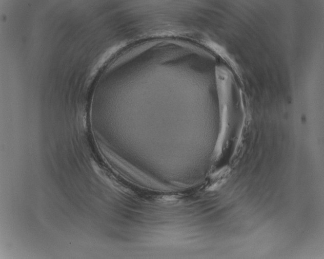 X0000077290060200611101353