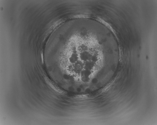 X0000077290061200611101353