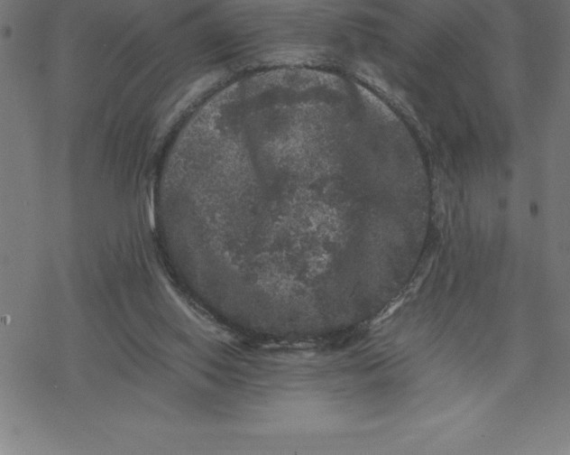 X0000077290062200611101353