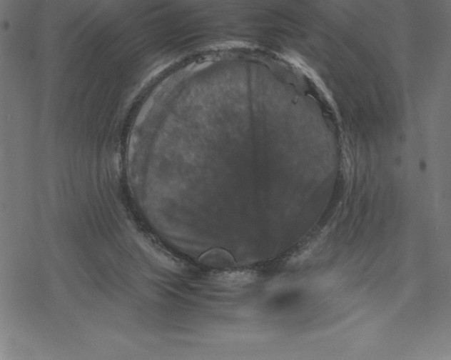 X0000077290063200611101353