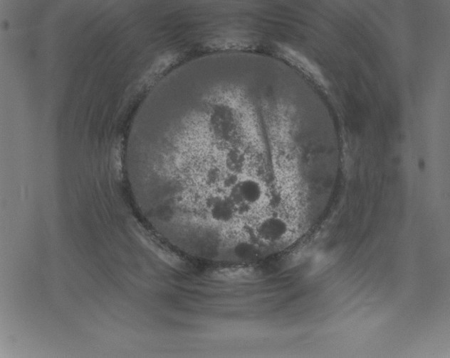 X0000077290065200611101353