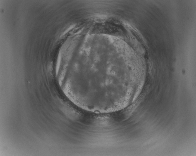 X0000077290066200611101353