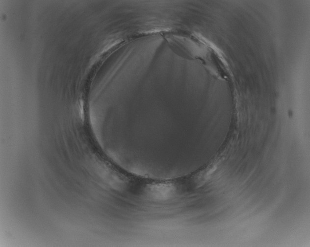 X0000077290067200611101353