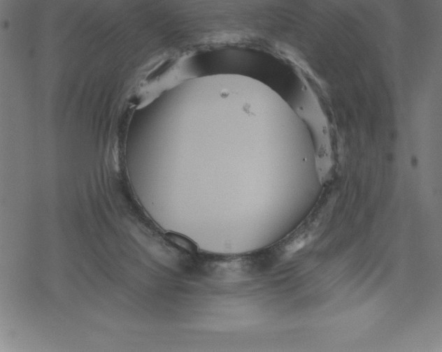 X0000077290068200611101353