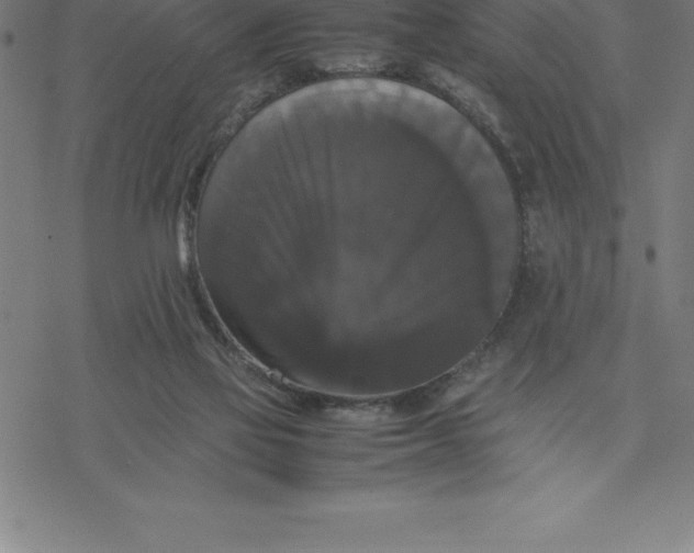 X0000077290069200611101353