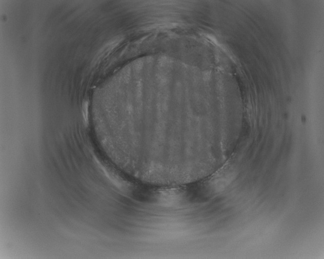 X0000077290070200611101353