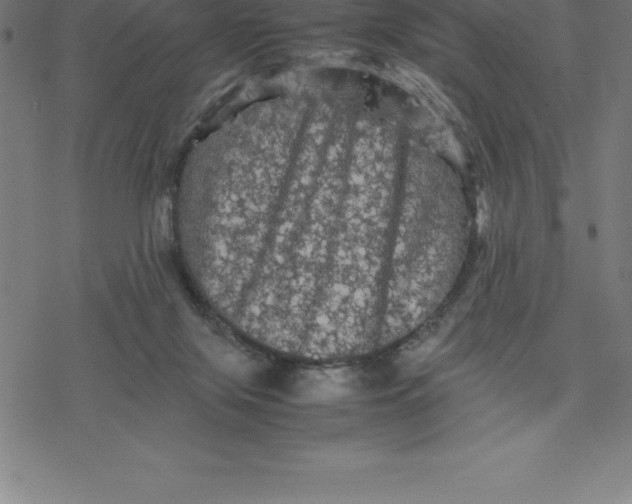 X0000077290071200611101353