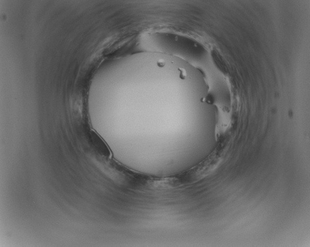 X0000077290072200611101353