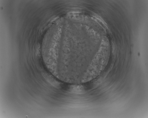 X0000077290073200611101353