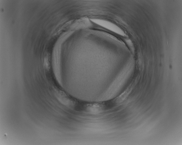 X0000077290074200611101353