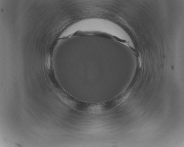 X0000077290076200611101353