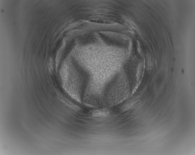 X0000077290077200611101353