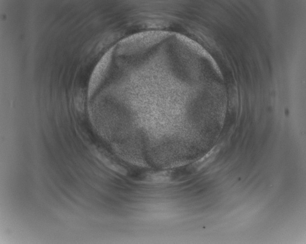 X0000077290078200611101353