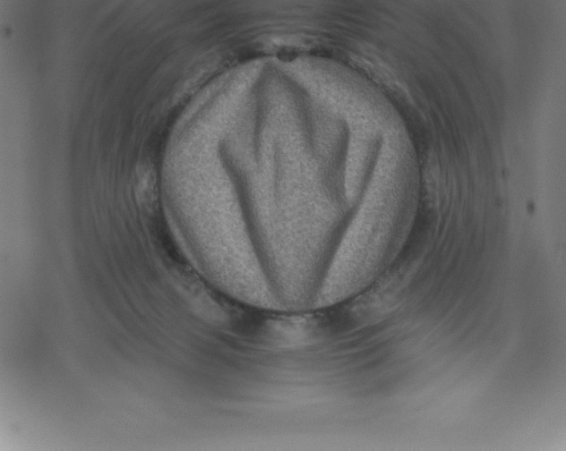 X0000077290079200611101353