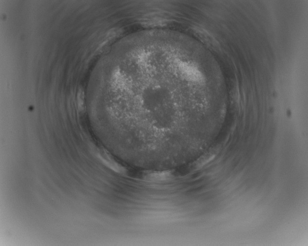 X0000077290081200611101353