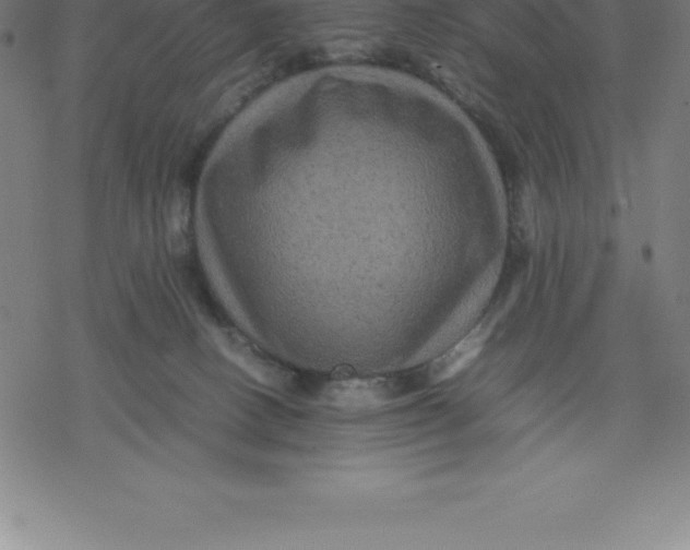 X0000077290082200611101353