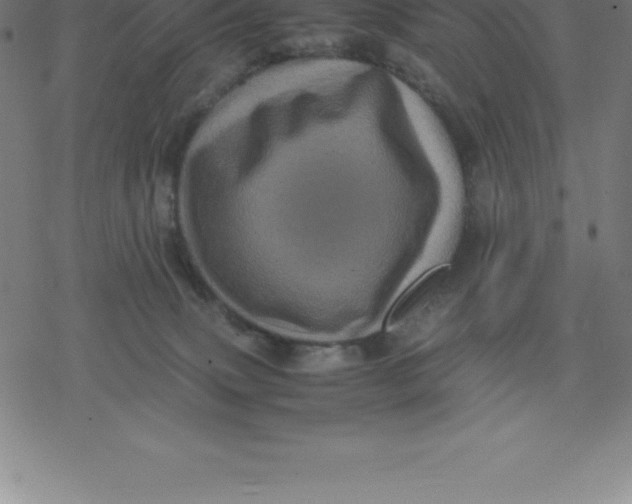 X0000077290083200611101353