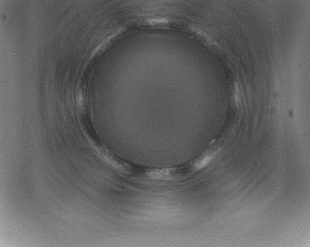 X0000077290084200611101353