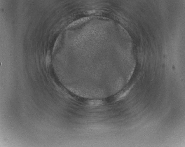 X0000077290085200611101353