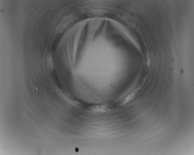 X0000077290086200611101353