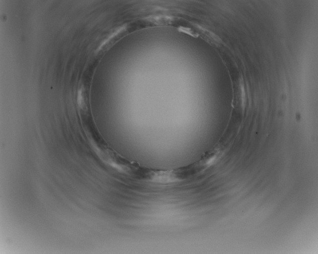 X0000077290088200611101353