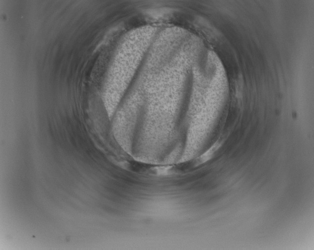 X0000077290090200611101353