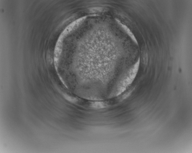 X0000077290091200611101353