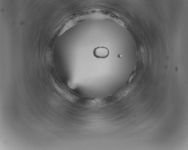 X0000077290092200611101354