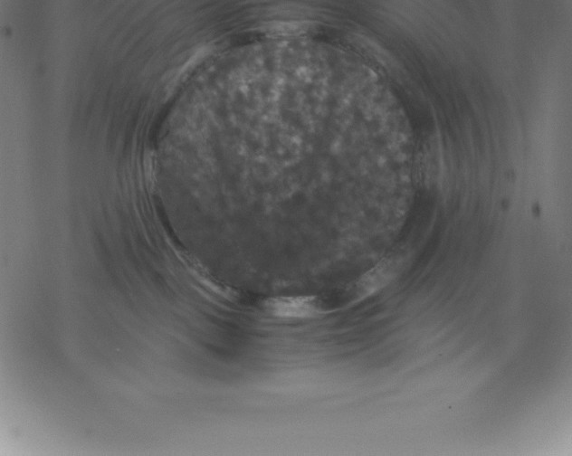 X0000077290093200611101354