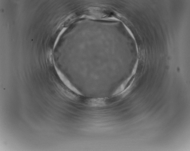 X0000077290094200611101354