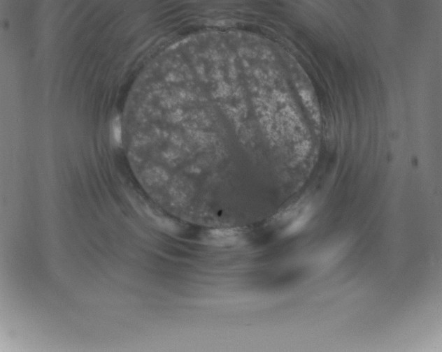 X0000077290095200611101354