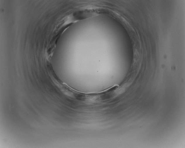 X0000077290096200611101354