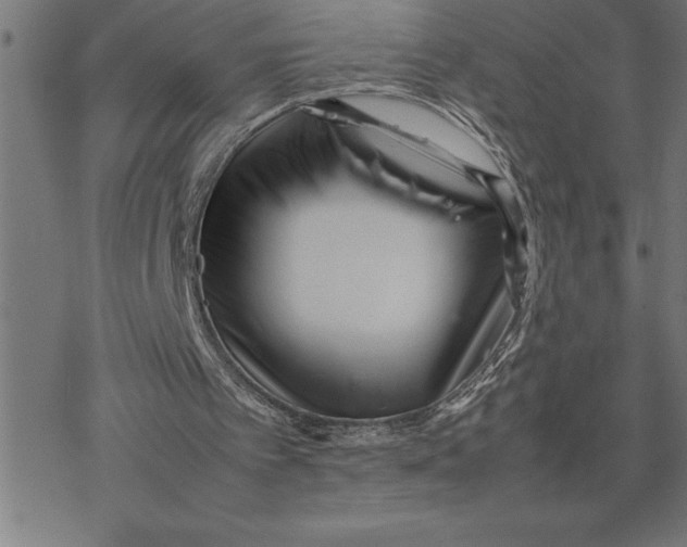 X0000077290097200611101353