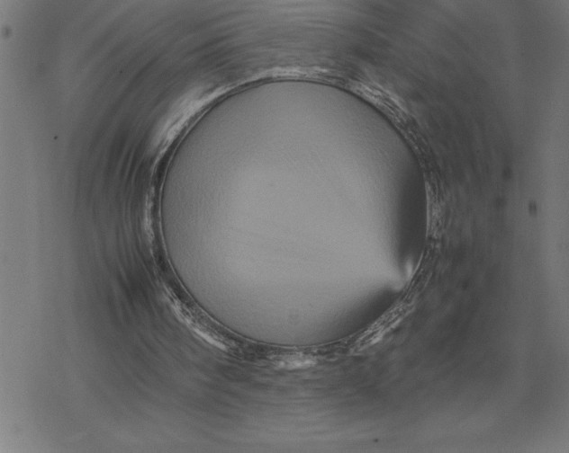 X0000077290098200611101353