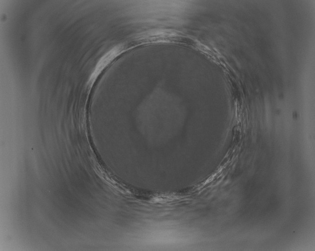 X0000077290099200611101353