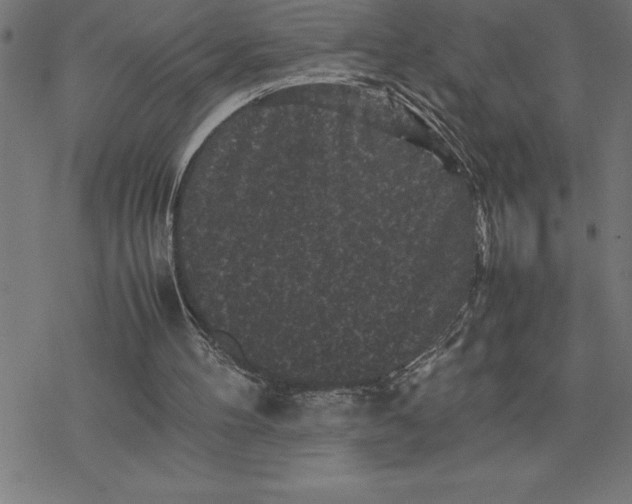 X0000077290100200611101353