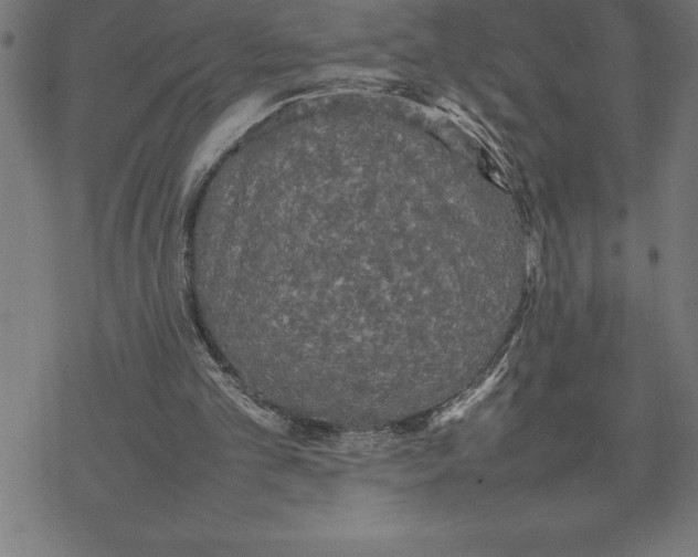 X0000077290101200611101353