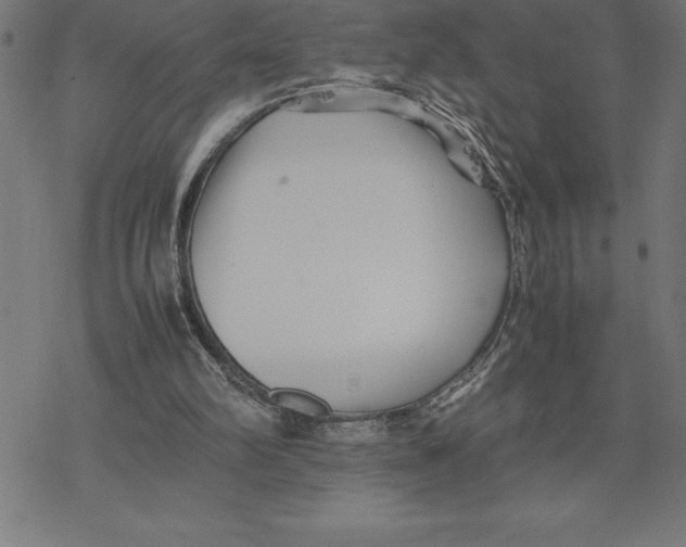 X0000077290102200611101353