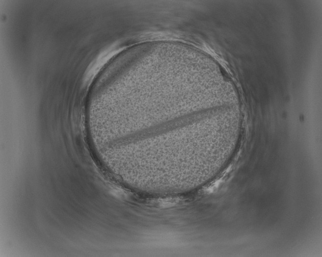 X0000077290103200611101353